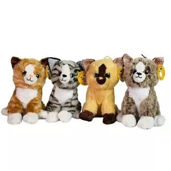 Крупные породистые котята DEEF