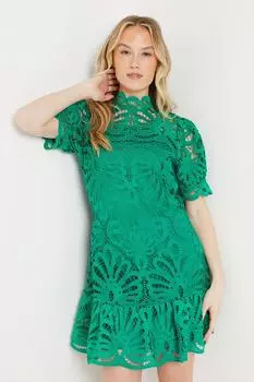 Кружевное мини-платье Dorothy Perkins, зеленый
