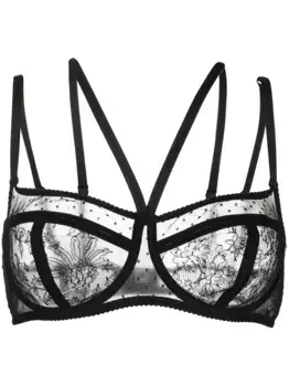 Кружевной бюстгальтер-балконет DOLCE & GABBANA, черный