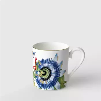 Кружка Amazonia с ручкой Villeroy & Boch, мультиколор