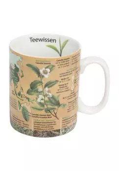 Кружка Чашка знаний с ручкой, фарфор KoNitz, светло-коричневый