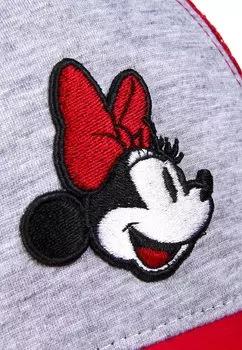 Крышка Mickey & Minnie, гниль