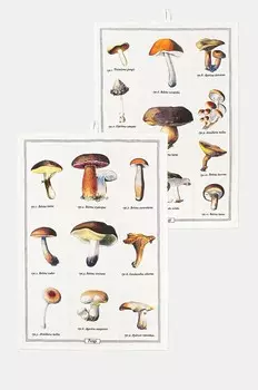 Кухонные полотенца из медицинской шерсти, 2 шт Medicine, бежевый