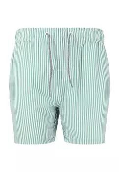 Купальные шорты Kenny с классическим полосатым узором CRUZ, цвет Print 3506