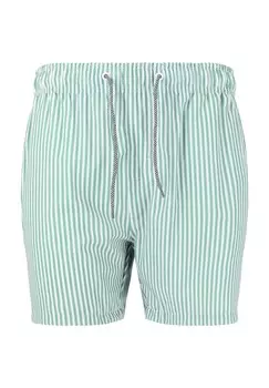 Купальные шорты Kenny с классическим полосатым узором CRUZ, цвет Print
