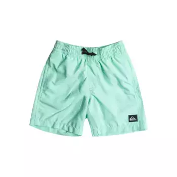 Купальные шорты Quiksilver «Everyday 13"», цвет Beach Glass