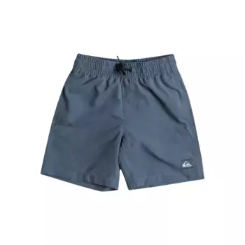 Купальные шорты Quiksilver «Everyday 13"», цвет Bering Sea