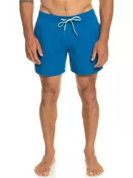 Купальные шорты Quiksilver "Everyday 15"", синий