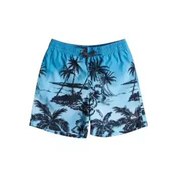 Купальные шорты Quiksilver «Everyday Paradise 14»», цвет Blithe