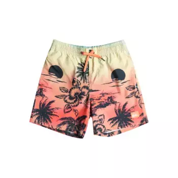 Купальные шорты Quiksilver «Everyday Paradise 14»», цвет Beach Glass