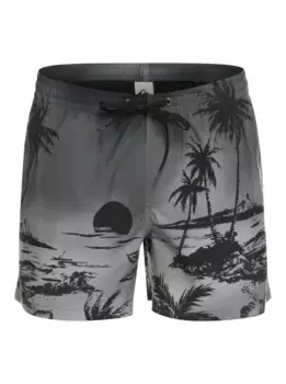 Купальные шорты Quiksilver "Everyday Paradise 15"", черный