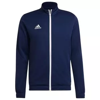 Куртка adidas Entrada 22, синий