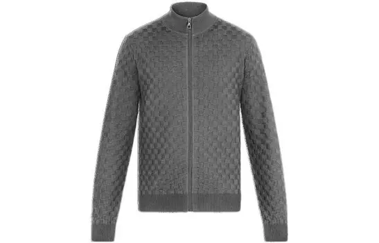 Куртка Alpha Damier для мужчин Louis Vuitton, серый