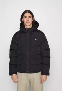 Куртка Dickies GLACIER VIEW PUFFER, черный