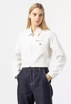 Куртка Dickies ХОЛСТ УТКИ, облако, цвет stone washed cloud