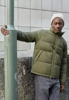 Куртка Dickies ВАЛЬДЕНБУРГ, цвет military green