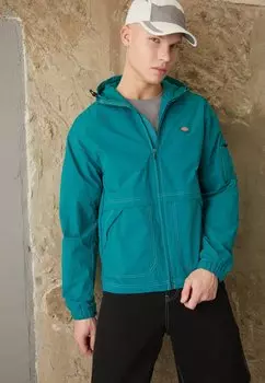 Куртка Фина Dickies ДЖЕКСОН, цвет deep lake
