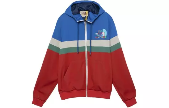 Куртка Gucci X The North Face с капюшоном, мультиколор