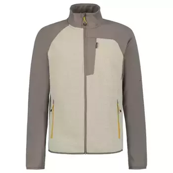 Куртка Icepeak Baltimore, серый