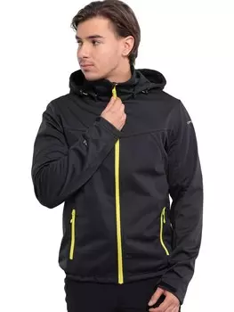 Куртка Icepeak BIGGS, серый