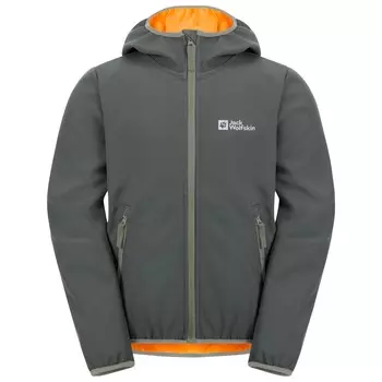 Куртка из софтшелла Jack Wolfskin Kid's Fourwinds, цвет Slate Green