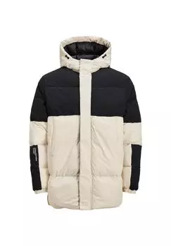 Куртка JACK & JONES, цвет Moonbeam