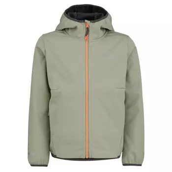 Куртка Jack Wolfskin, цвет Mint Leaf