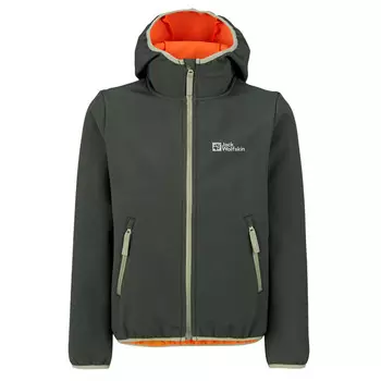 Куртка Jack Wolfskin, цвет Slate Green