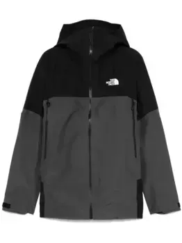 Куртка Jazzi 3L GORE-TEX The North Face, серый