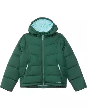 Куртка L.L.Bean Popham Puffer Jacket, цвет Pinewood Green