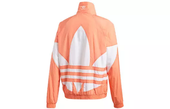 Куртка мужская Adidas Originals