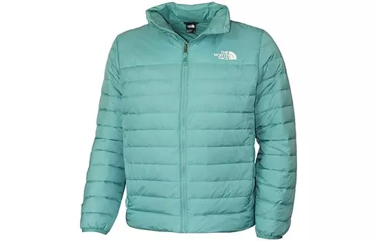 Куртка мужская бирюзовая The North Face, бирюзовый