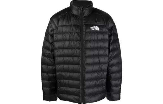 Куртка мужская черная The North Face, черный