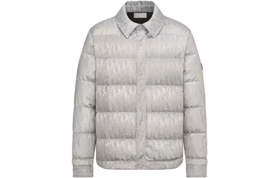 Куртка мужская Dior, серый