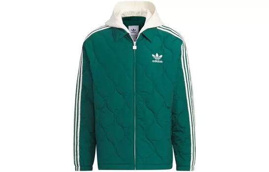 Куртка мужская лесная зеленая Adidas Originals, зеленый