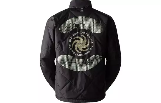 Куртка мужская Misty Sage The North Face, цвет Misty sage