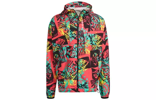 Куртка мужская многоцветная Adidas Originals, цвет Multicolor