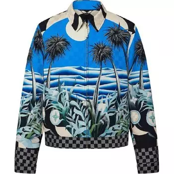 Куртка мужская многоцветная Louis Vuitton, цвет Multicolor