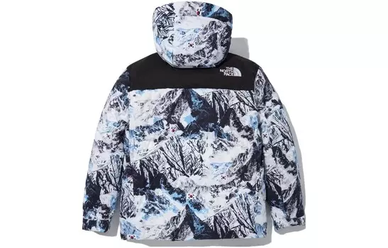 Куртка мужская многоцветная The North Face, цвет Multicolor