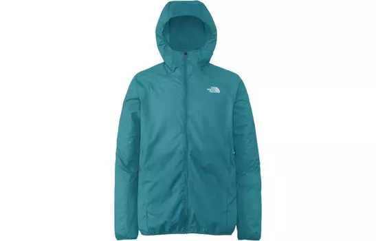Куртка мужская Moss Blue The North Face, синий