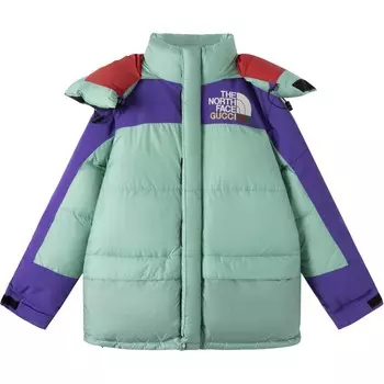 Куртка мужская North Face X Down, многоцветная Gucci, мультиколор