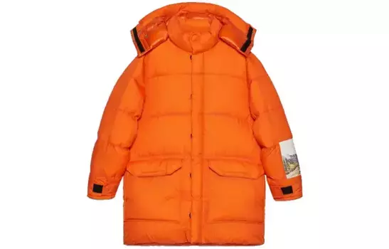 Куртка мужская North Face X Down, оранжевая Gucci, оранжевый