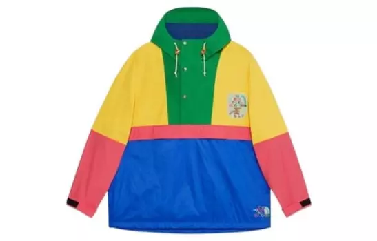 Куртка мужская North Face X, многоцветная Gucci, цвет Multicolor