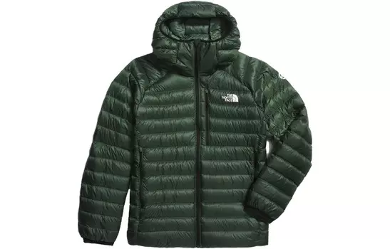 Куртка мужская Pine Needles зеленая The North Face, зеленый