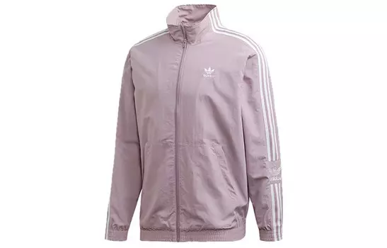Куртка мужская пурпурно-серая Adidas Originals, серый