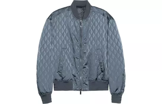 Куртка мужская серая Dior, серый