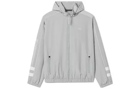 Куртка мужская серая NWJ Lacoste, серый