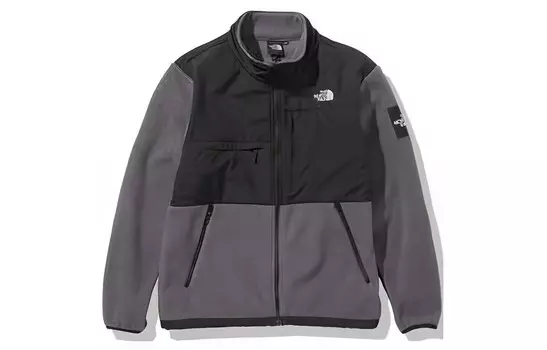 Куртка мужская серая The North Face, серый