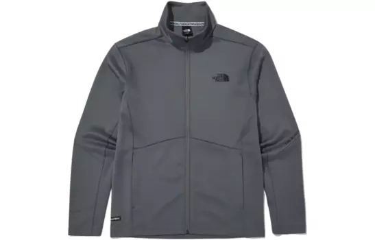 Куртка мужская серая The North Face, серый