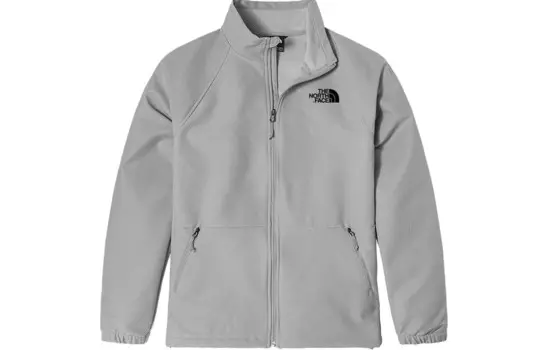 Куртка мужская серая The North Face, серый